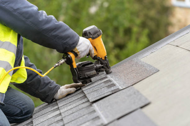 Best Roof Maintenance and Cleaning  in Tice, FL